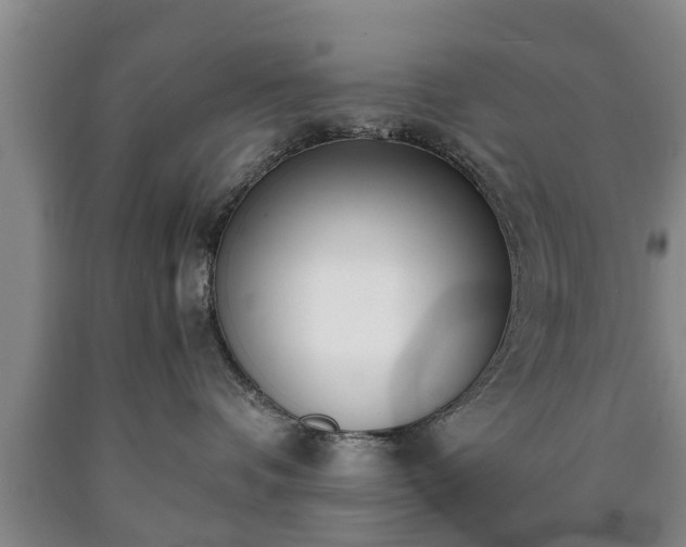 X0000090700336200707271114