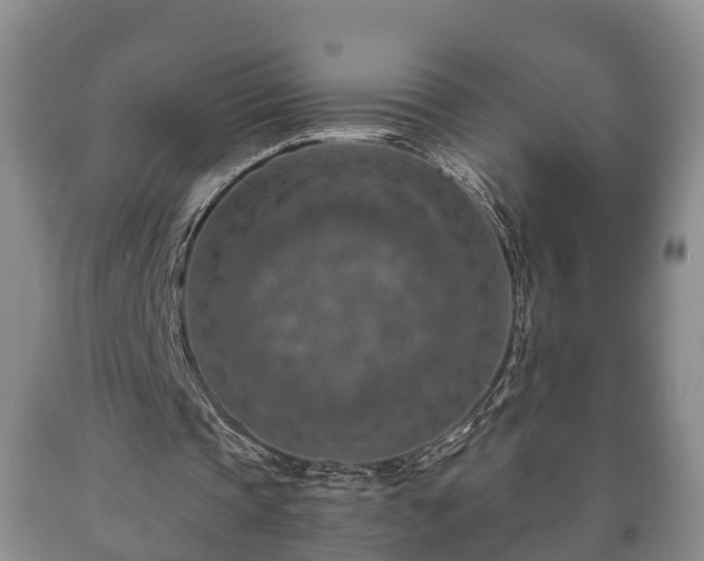 X0000090700337200707271113