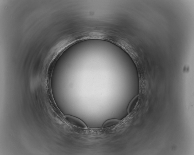 X0000090700338200707271113