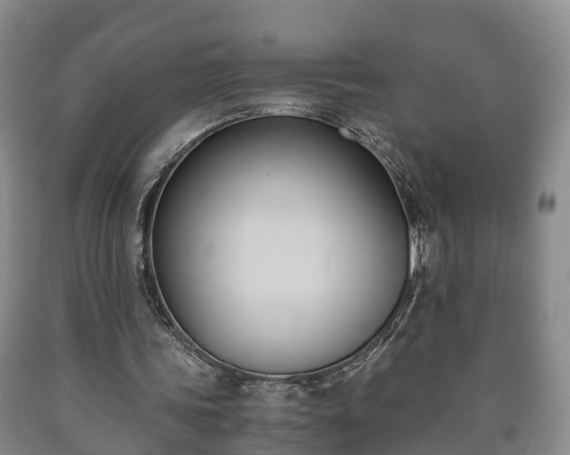 X0000090700339200707271113