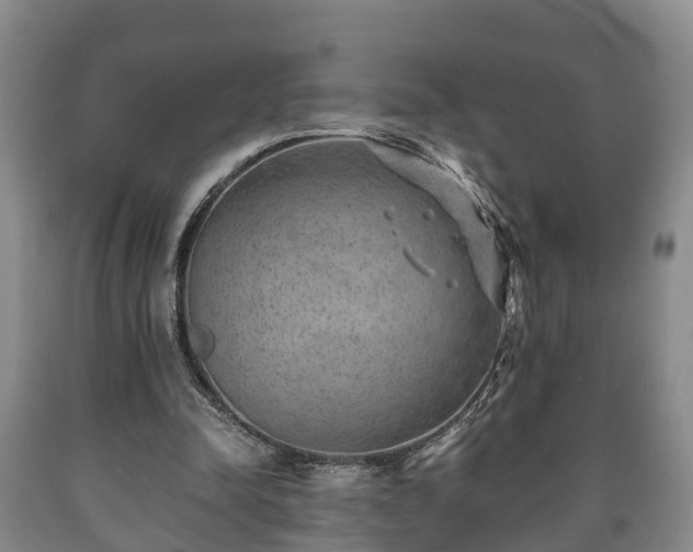 X0000090700342200707271113