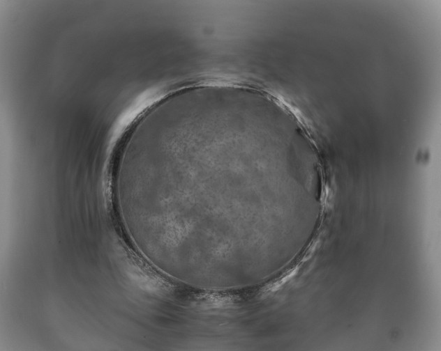 X0000090700343200707271113