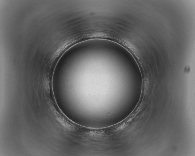 X0000090700345200707271113