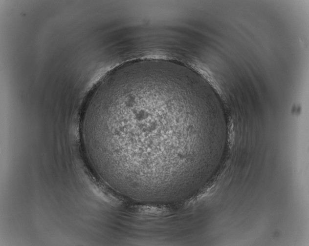 X0000090700347200707271113