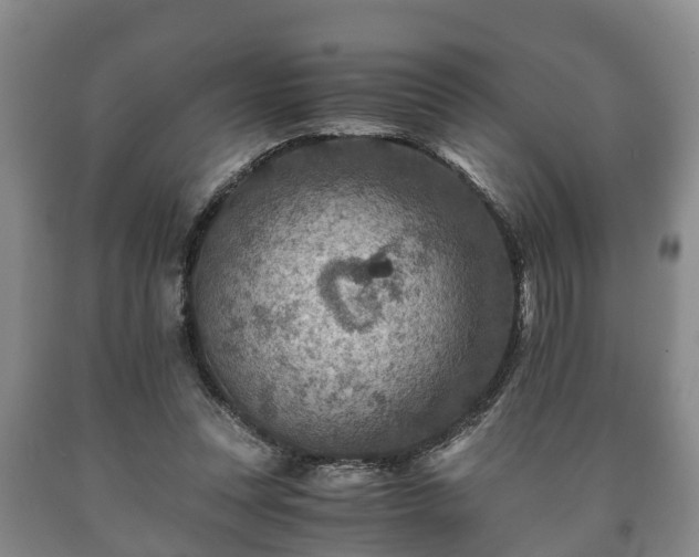 X0000090700351200707271113