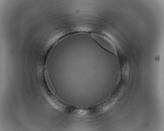 X0000090700352200707271113