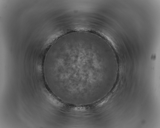 X0000090700353200707271113