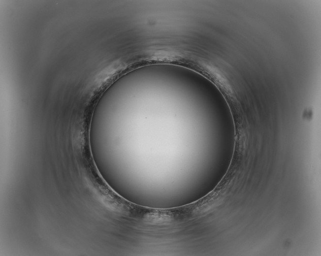 X0000090700354200707271113