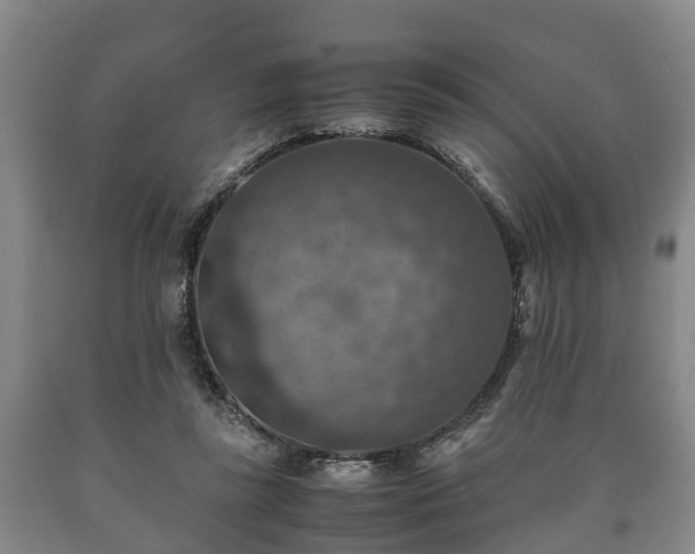 X0000090700355200707271113