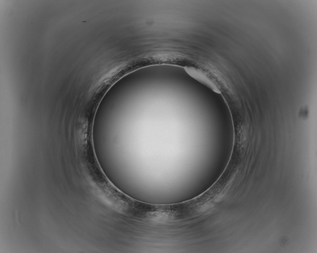 X0000090700356200707271114