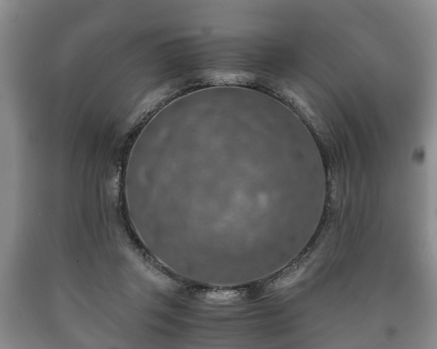 X0000090700357200707271114