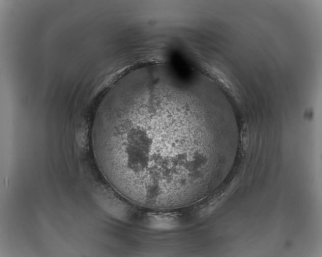 X0000090700359200707271114