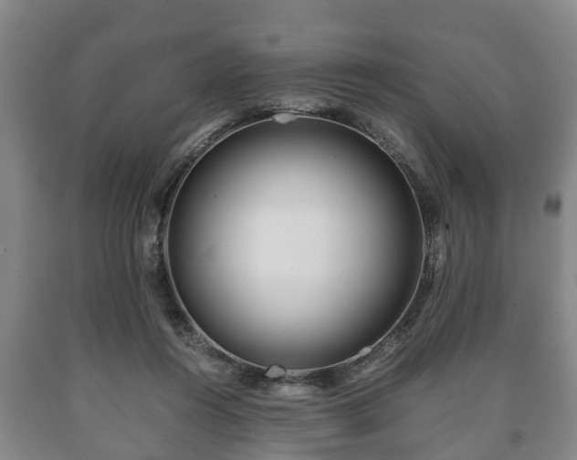 X0000090700360200707271114