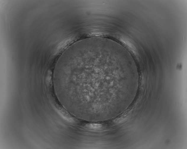 X0000090700361200707271114