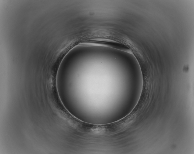 X0000090700362200707271114