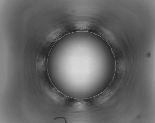 X0000090700364200707271114