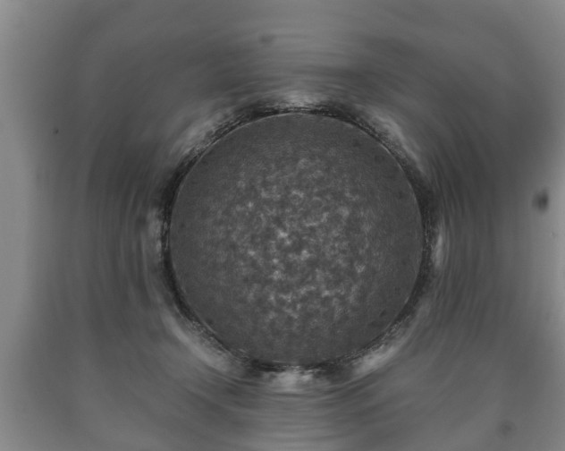 X0000090700366200707271114