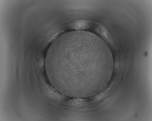 X0000090700367200707271114