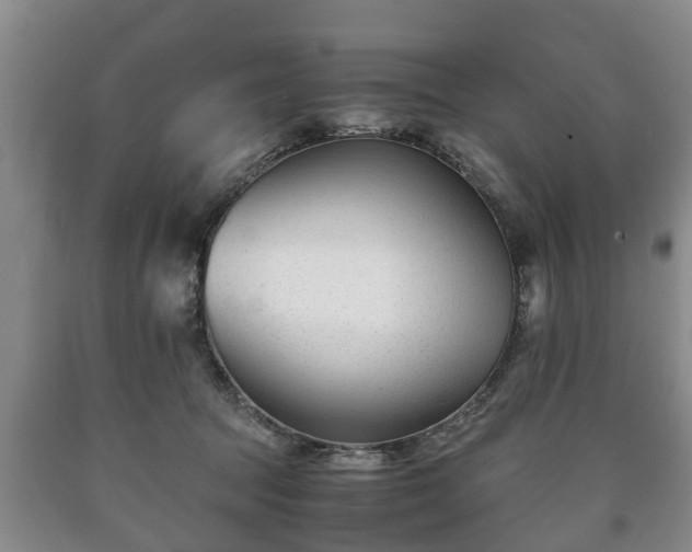 X0000090700369200707271114