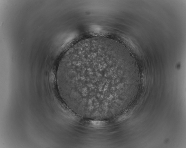 X0000090700371200707271114