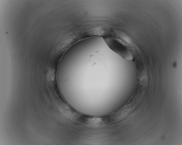 X0000090700374200707271114