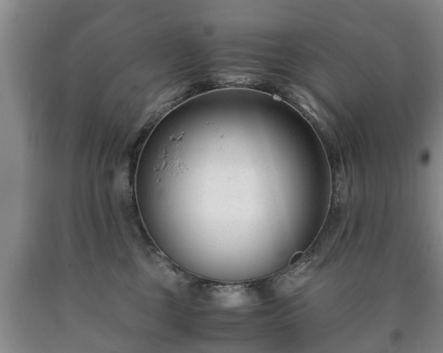 X0000090700377200707271114