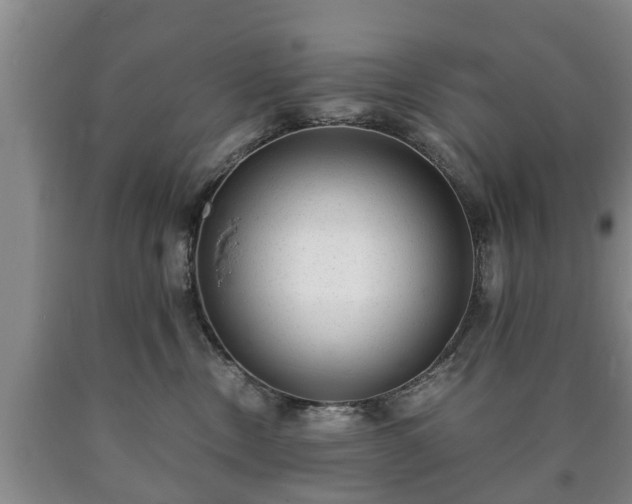 X0000090700378200707271114