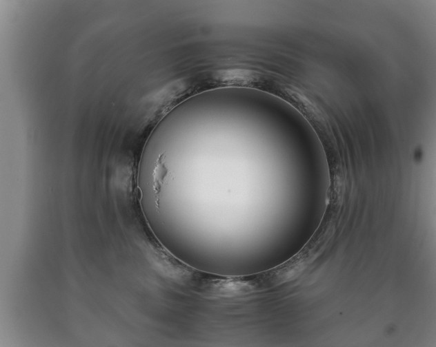 X0000090700379200707271114