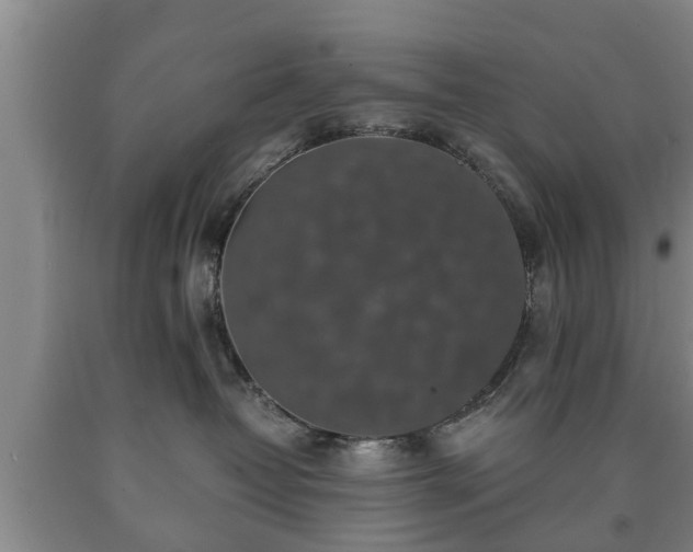 X0000090700382200707271114