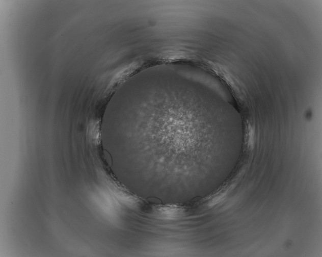 X0000090700383200707271114