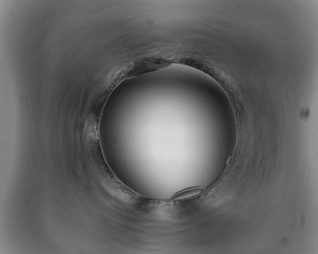 X0000090700384200707271114