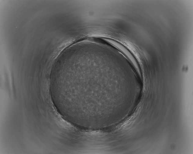 X0000090700385200707271113