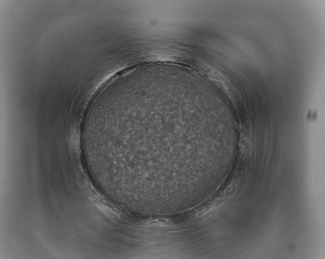 X0000090700386200707271113