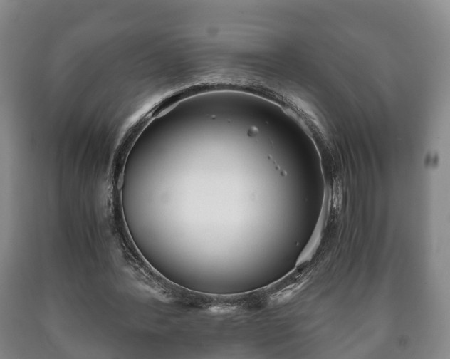 X0000090700388200707271113