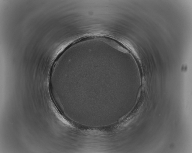 X0000090700389200707271113