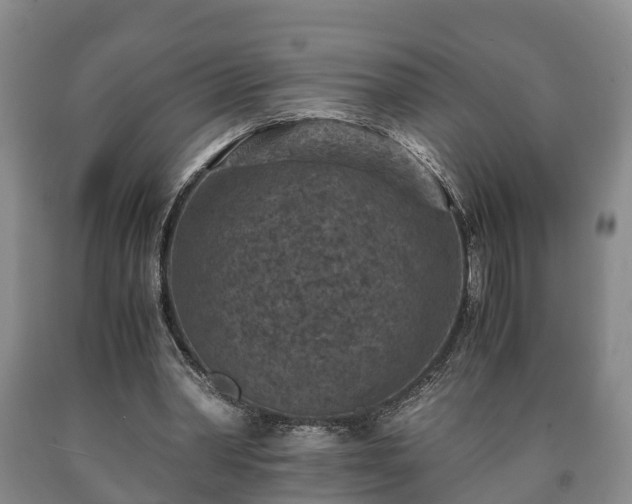 X0000090700390200707271113