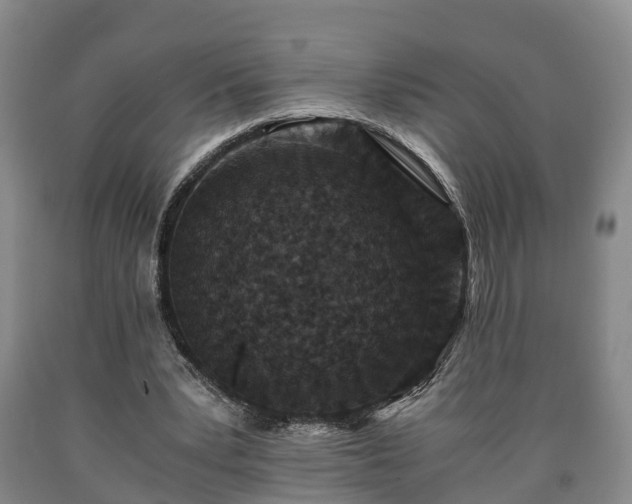 X0000090700391200707271113