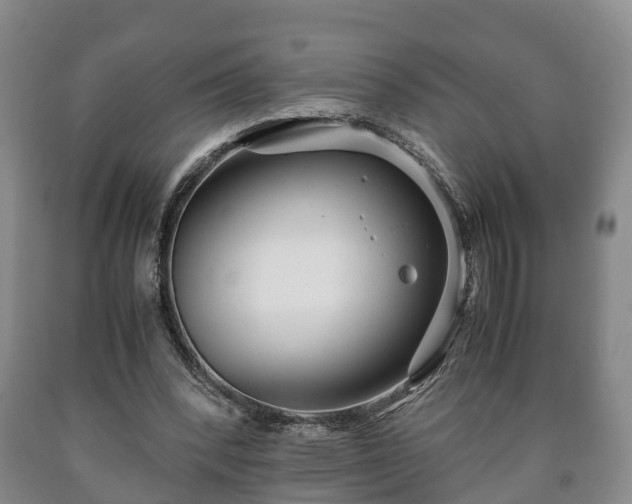 X0000090700392200707271113