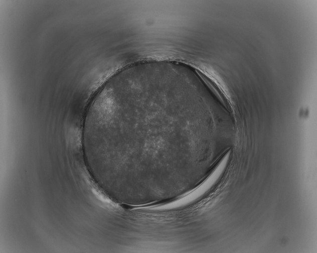 X0000090700393200707271113