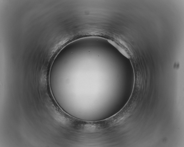 X0000090700394200707271113