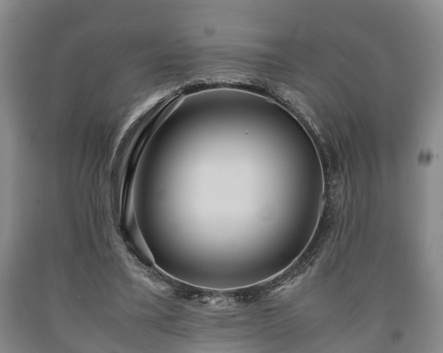 X0000090700395200707271113