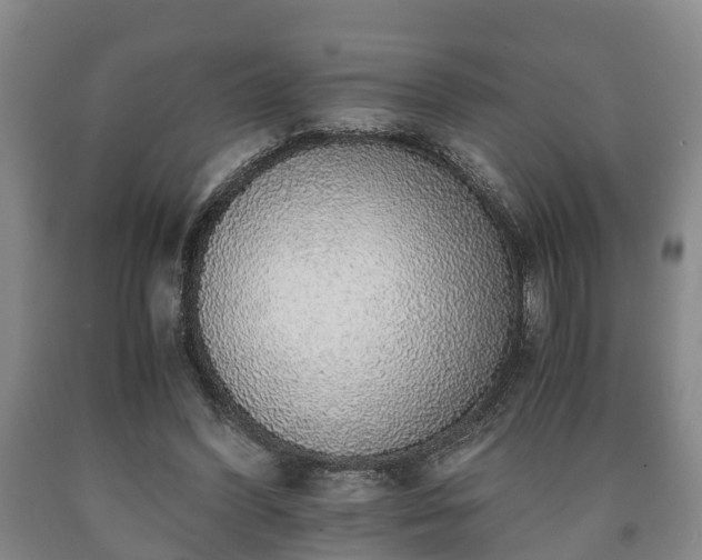 X0000090700396200707271113