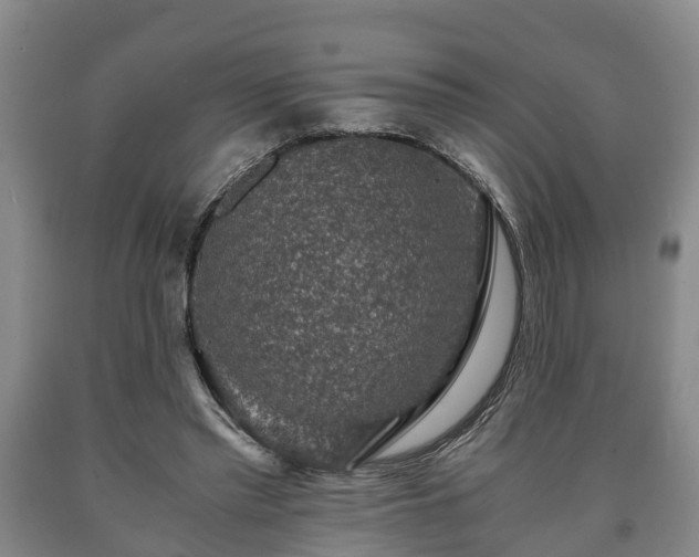 X0000090700397200707271113