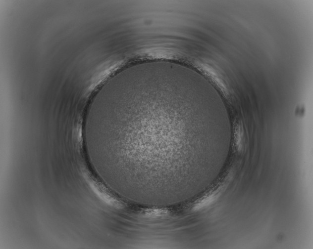 X0000090700398200707271113