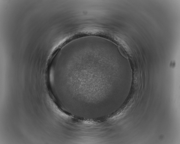 X0000090700399200707271113