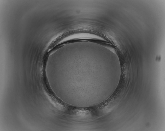 X0000090700400200707271113