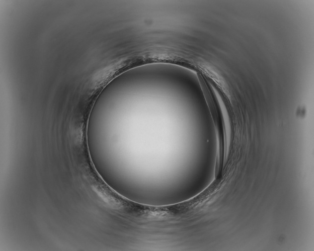 X0000090700401200707271113