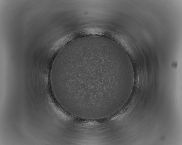 X0000090700402200707271113