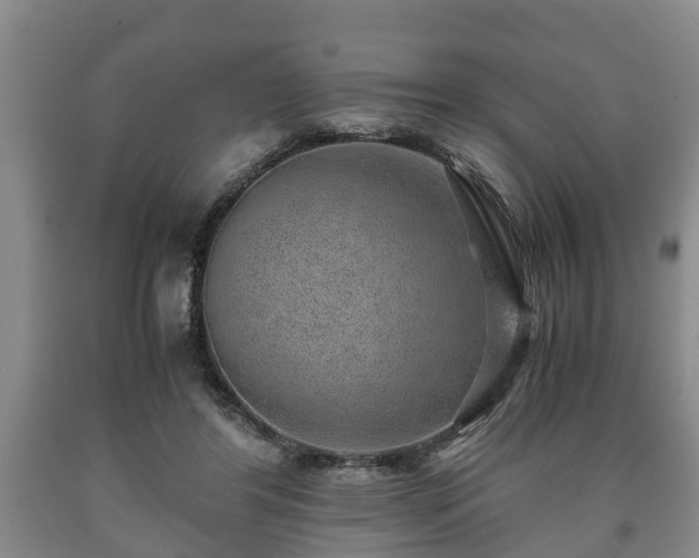 X0000090700404200707271113