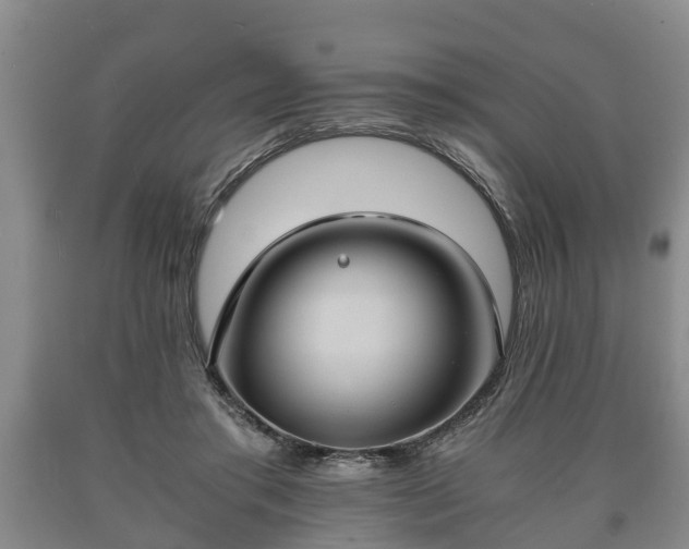 X0000090700405200707271113